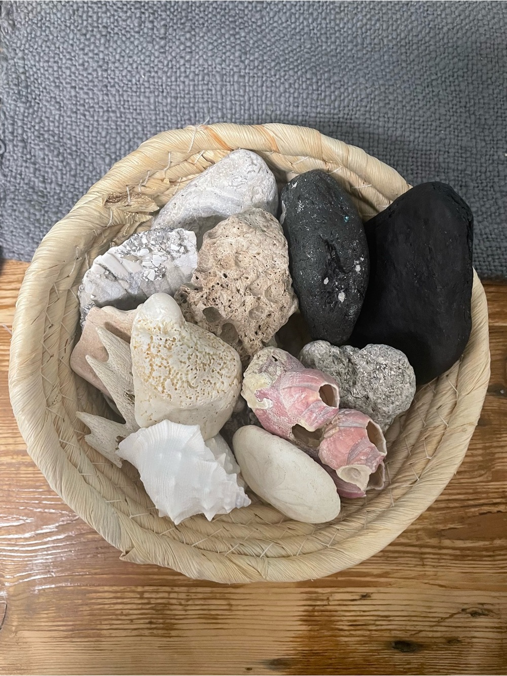 Beach combers collection, beach, finds, and oddities